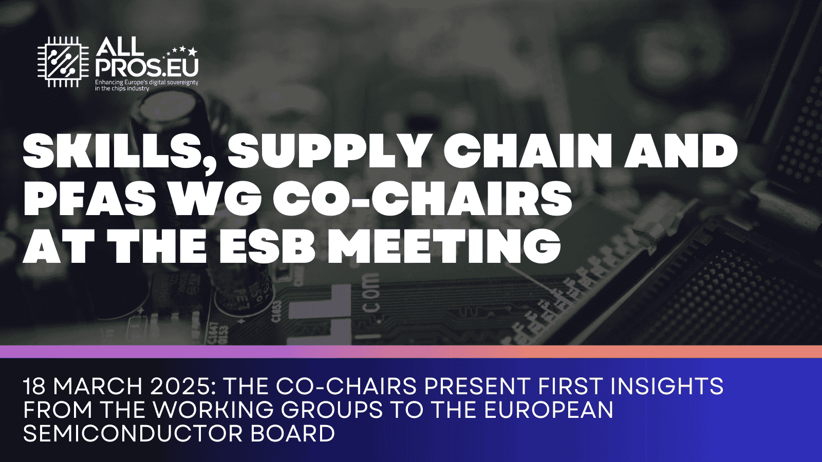 SKILLS, SuPPLY CHAIN AND PFAS wg co-chairs  at the ESB meeting